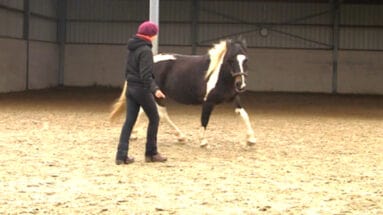 Circling-with-your-horse-at-liberty-Featured image