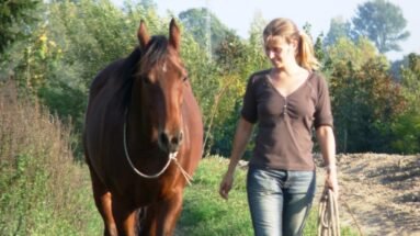 Connection-with-your-horse-instead-of-control