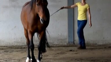 Your-spot-My-spot-featured image