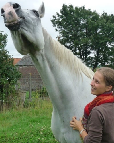 grooming-your-horse grooming-your-horse