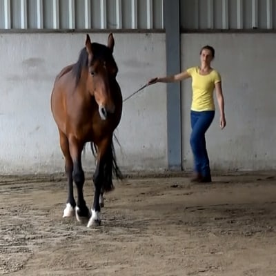 your-spot-my-spot your-spot-my-spot