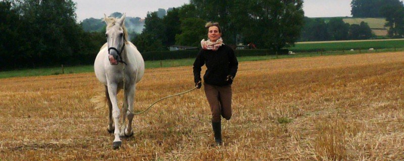 9 tips that will help you train your horse better!