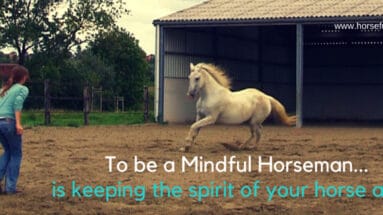 horsemanship-is-more-than-natural-horsemanship