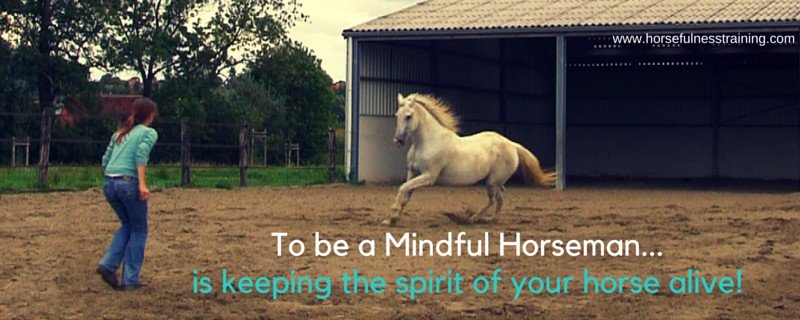 Horsemanship is more than “Natural Horsemanship”