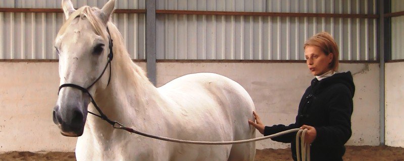 Yielding to physical pressure, with feel