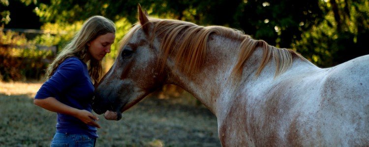 Why I don’t use food treats to connect with horses