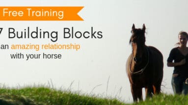 7-building-blocks-of-an-amazing-relationship-with-your-horse-free-webinar