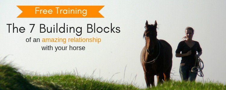 The 7 building blocks of an amazing relationship with your horse
