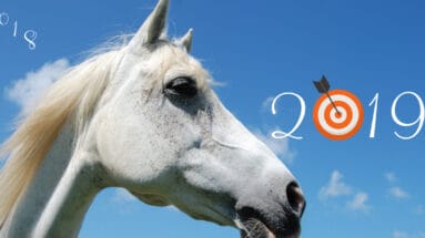 15-goal-question-for-you-and-your-horse
