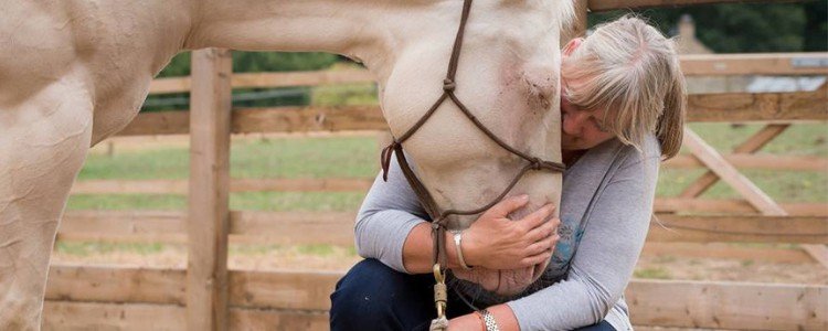 An enthusiastic greeting