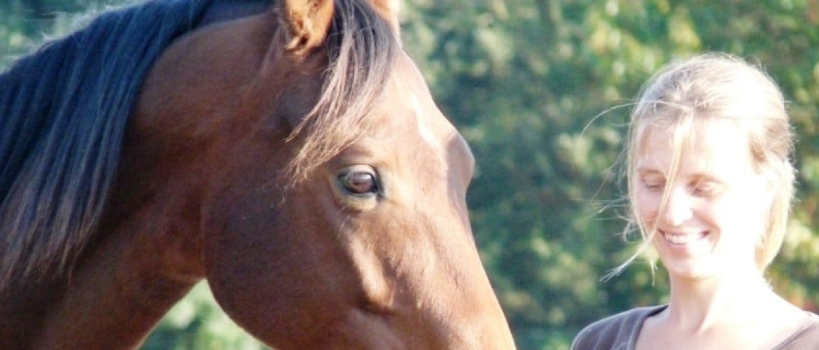 10 tips for a positive mindset when training your horse