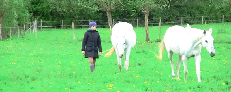 Video: Walking together in Liberty