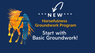 start-with-basic-groundwork-for-your-horse