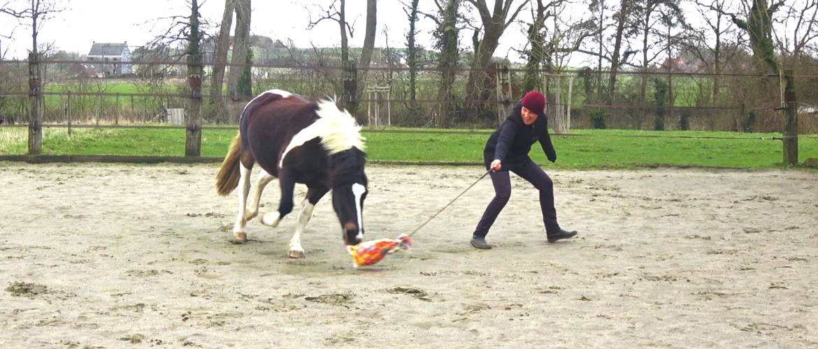 Lila plays the “Chase Game”