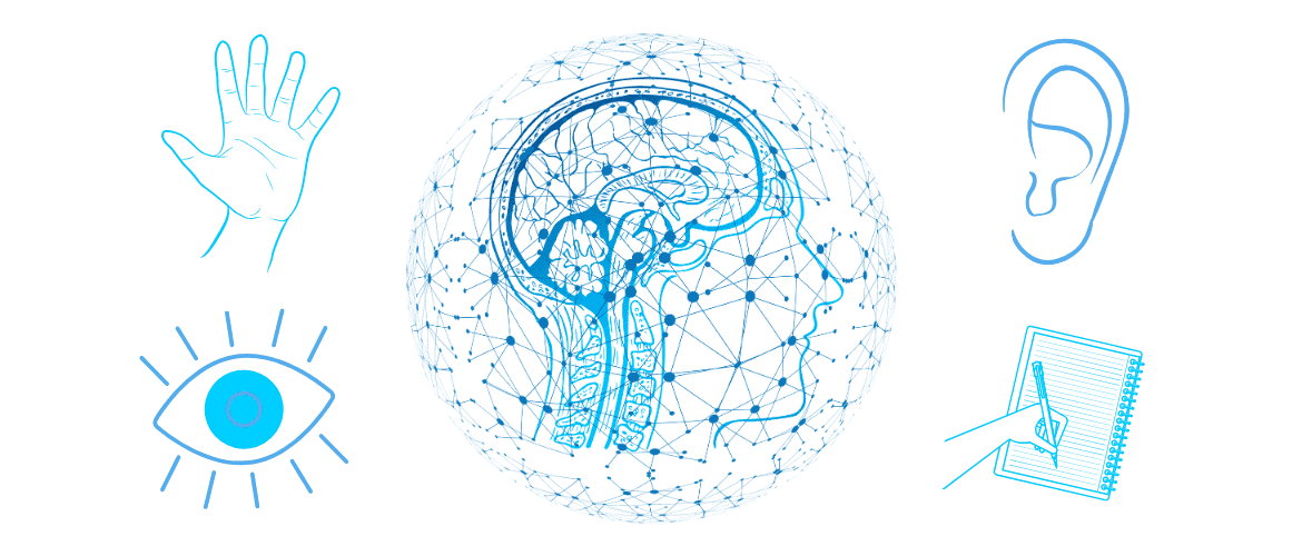 Improving your horsemanship skills by following your personal learning style?