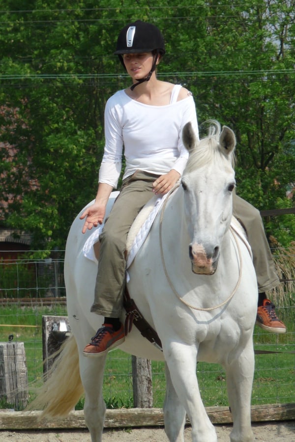 connective riding neck rope