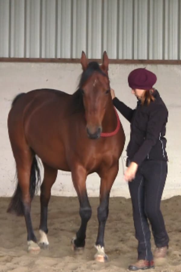 gymnastic groundwork renvers gymnastic groundwork renvers