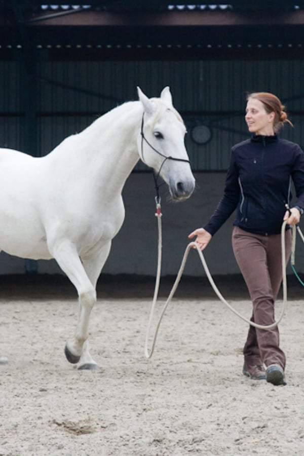 leading your horse with a leadrope-groundwork with horses Karine leading a horse with a lead rope from the leading position during gorundwork