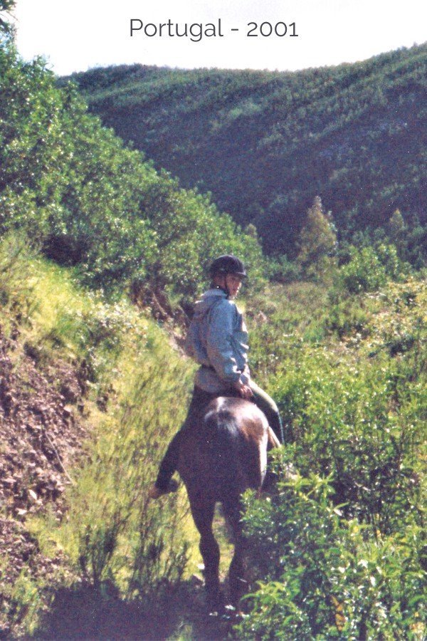 trail riding with horses trail riding with horses