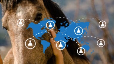 What's-a-connection-circle-Featured-image