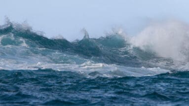 challenge-with-my-horse-Featured image