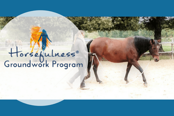 Horsefulness-groundwork-program