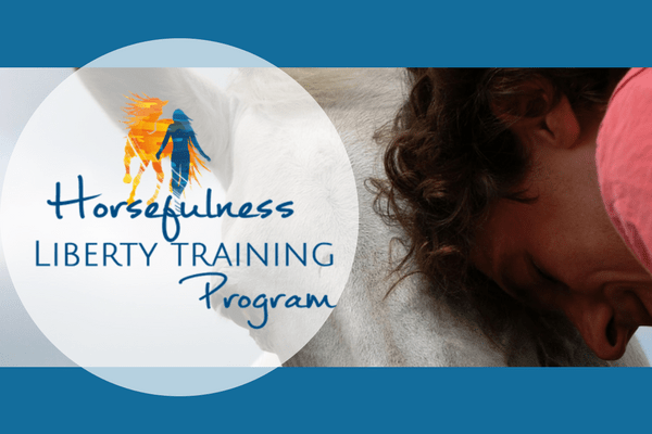 Horsefulness-liberty-training-program