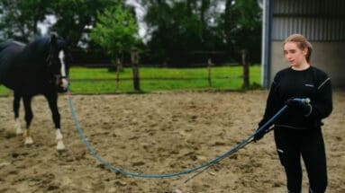 focus-horse-leading-Featured image