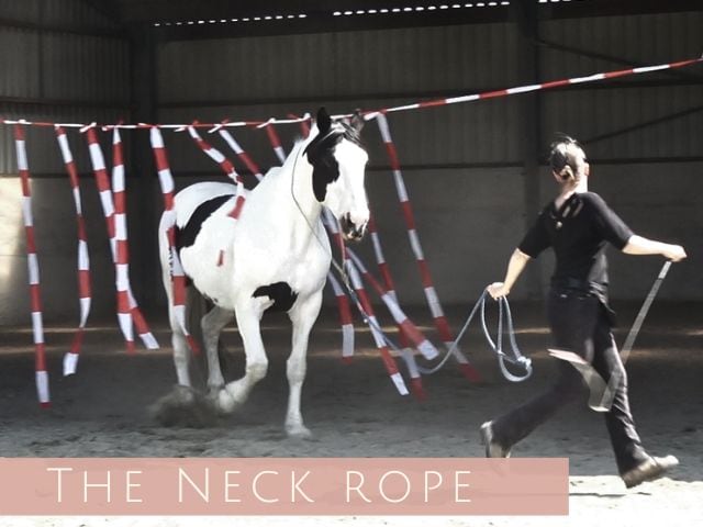 groundwork-with-the-neck-rope-online-course