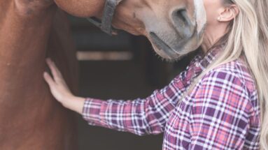 high-frequency-words-for-deeper-connection-with-your-horse-featured image