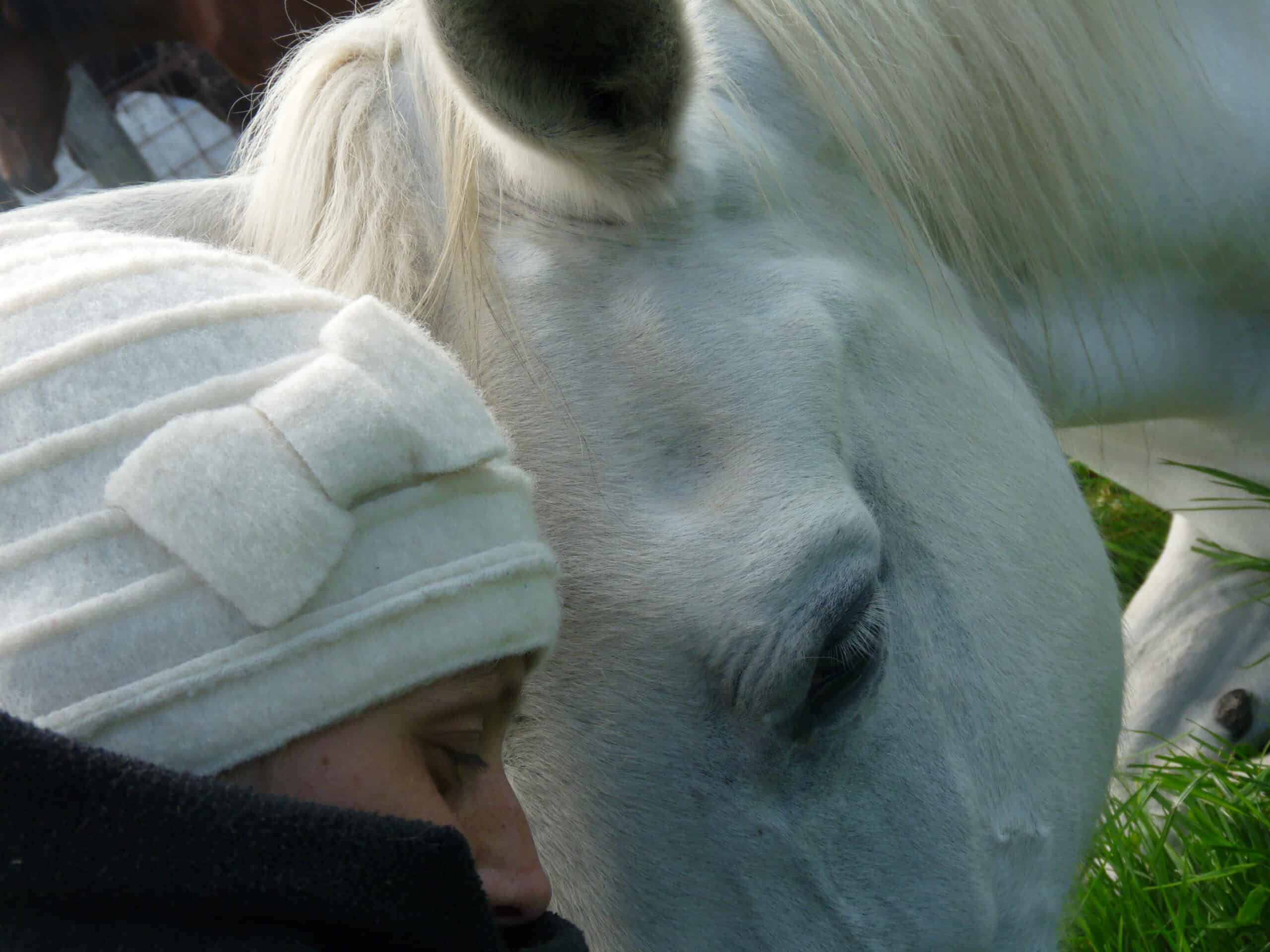 Ditch the treats 2 Ditch-the-treats-2