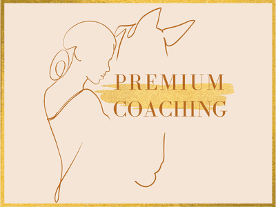 Premium horse coaching horsefulness training Premium horse coaching horsefulness training
