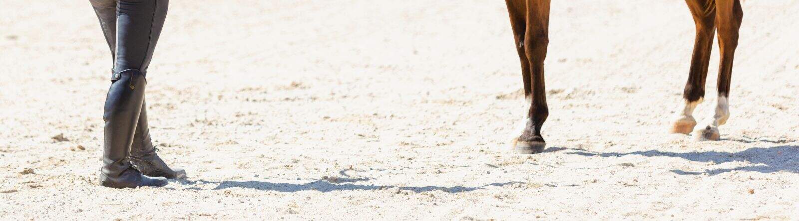 5-common-mistakes-in-liberty-with-horses-that-you-want-to-avoid a woman and horse in liberty in the riding arena