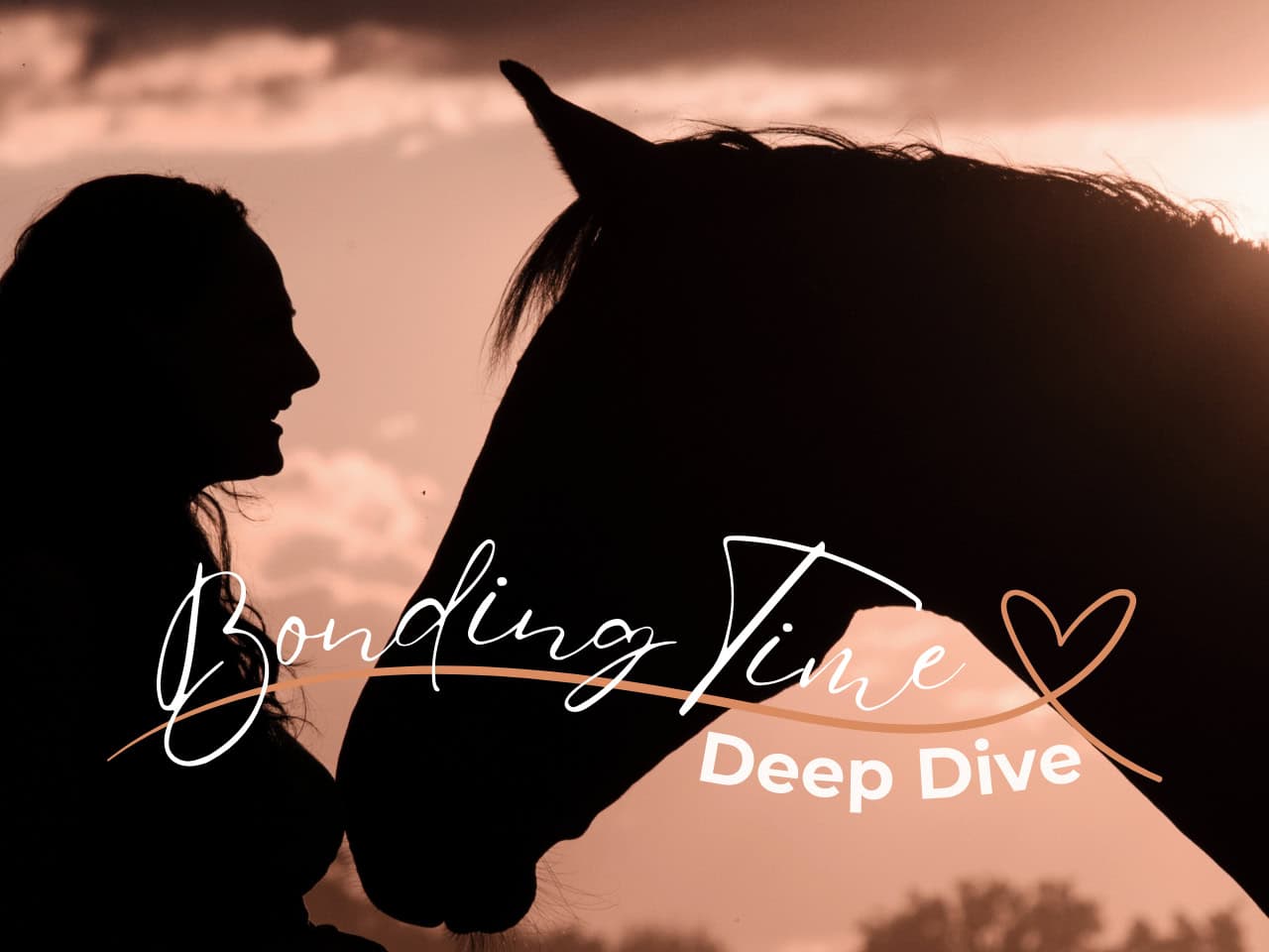 Online mini-course for a strong and natural bond with your horse