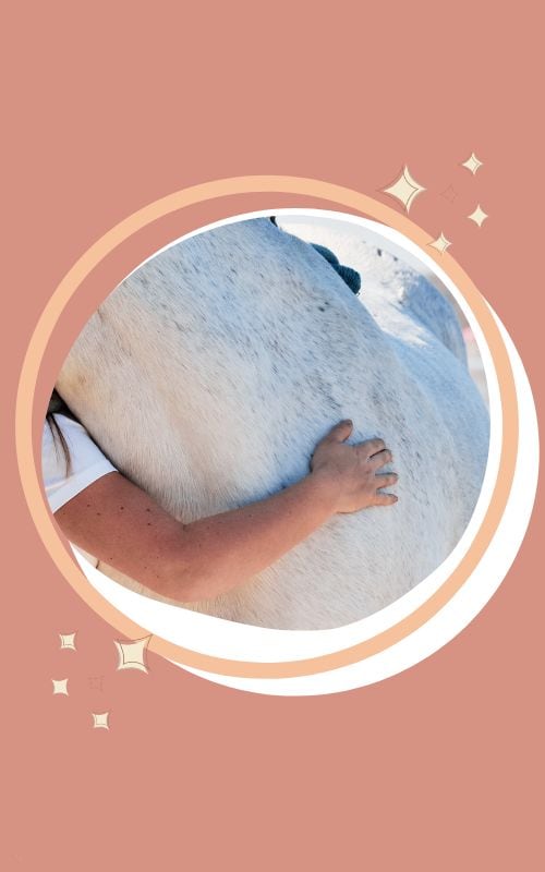 woman with her arms hugging her horse