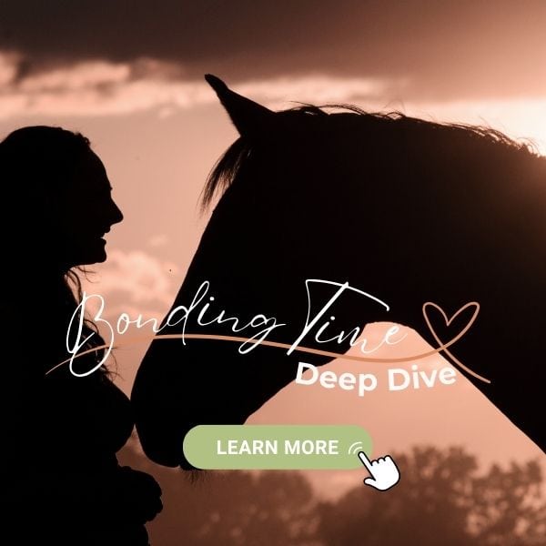 woman-and-horse- standing-close-in-connection