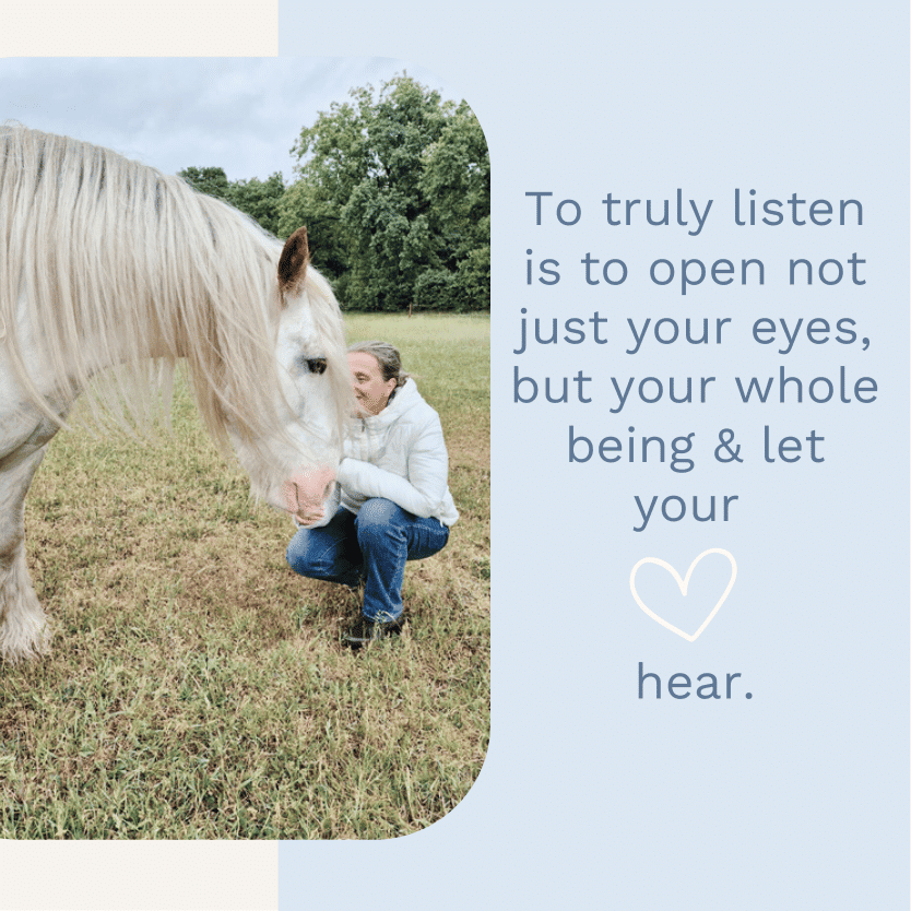 white horse communicating with woman in field