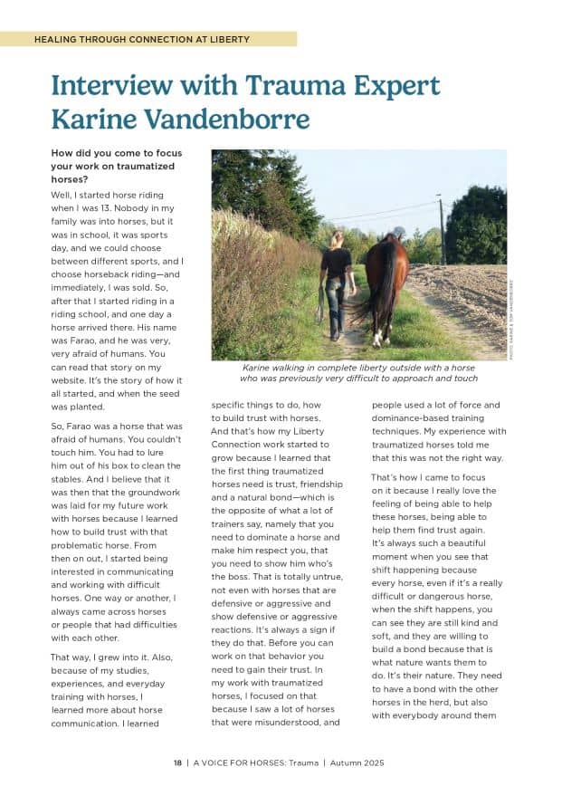 Interview with Karine Vandenborre on trauma in horses - A Voice for Horses - Issue 2 Autumn 2025 first page of article about healing trauma in horses