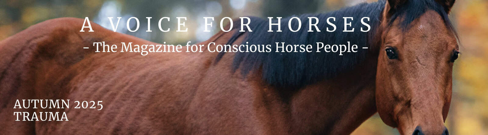 Interview with Karine Vandenborre on healing trauma in horses Cover image A Voice for Horses magazine - issue Autumn 2025 - Trauma in horses