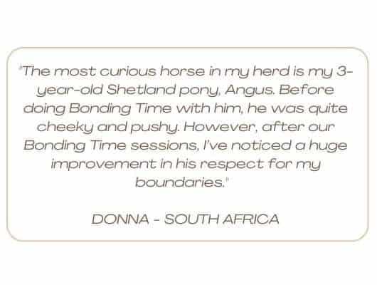 review bonding-time-Donna review of the bonding time deep dive course by Donna