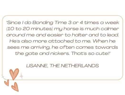 review bonding-time-Lisanne review of the bonding time deep dive course by Lisanne