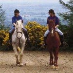 keeping-a-positive-mindset-while-riding-your-horse