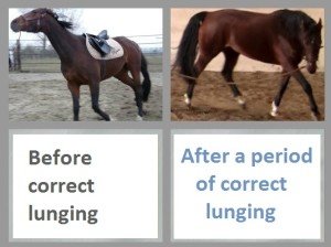 lunging-benefits