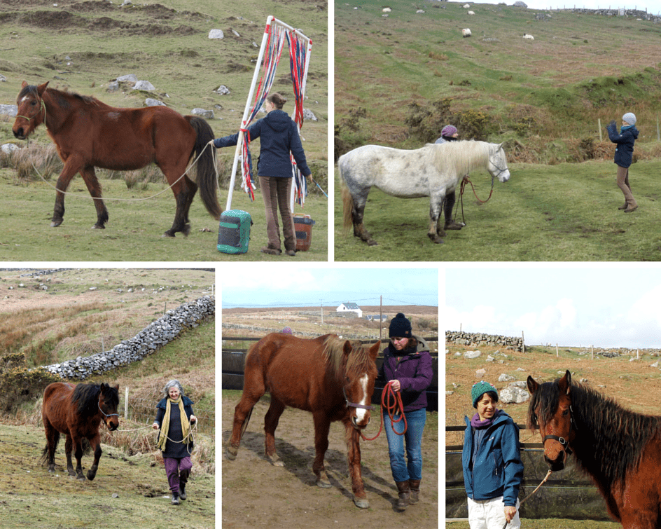 Groundwork-with-horses-ireland
