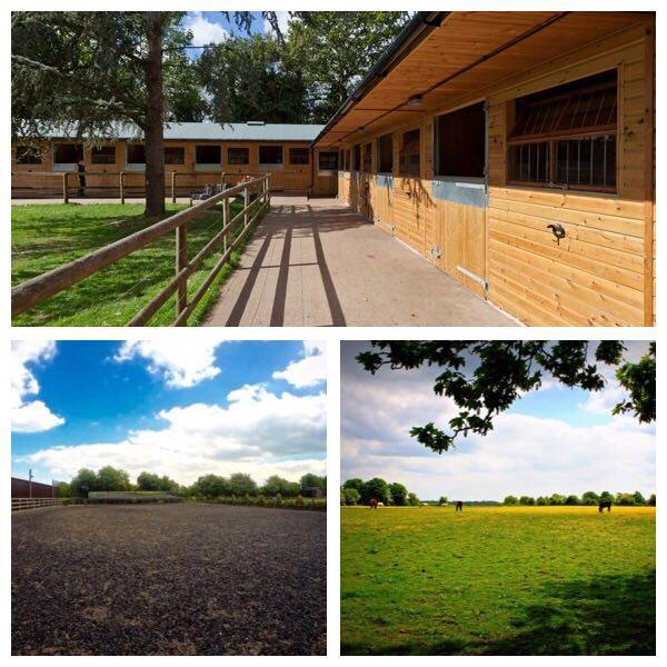 new-barn-stables
