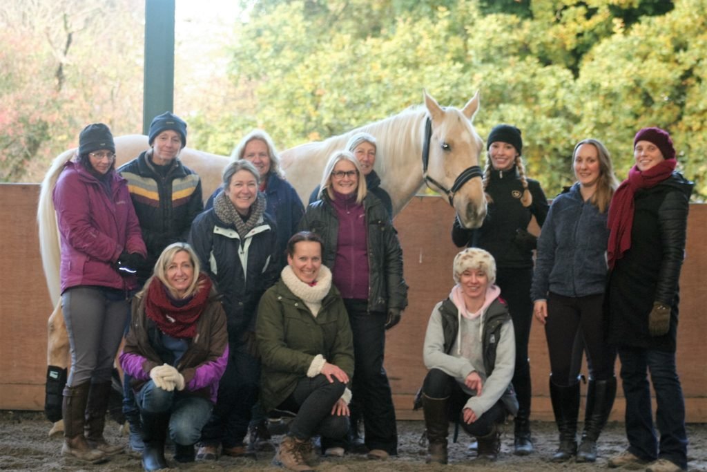 participants-clinic-uk-horsefulness-training