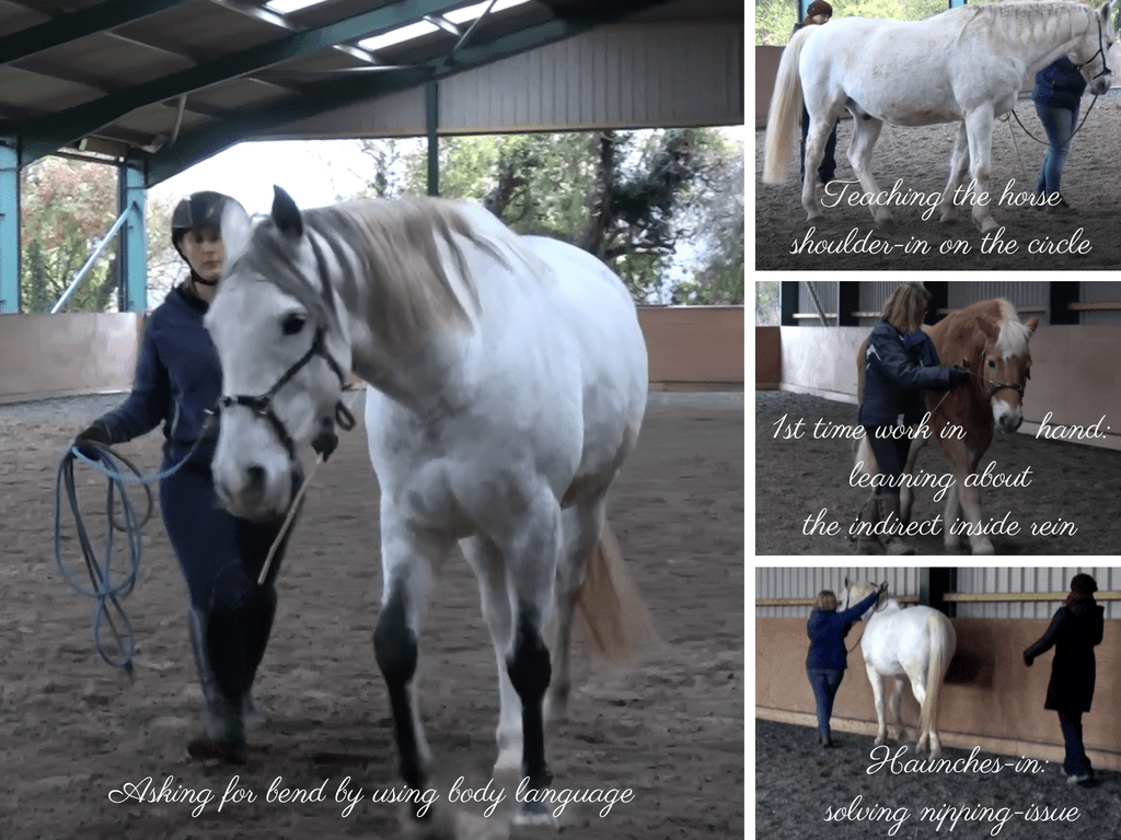 straightness-work-in-hand-training-uk